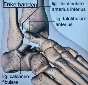 enkelbanden